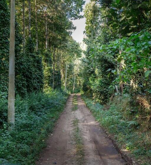 旅馆 Enchanted Haven By Jadecaps Bbq Ac Coorg