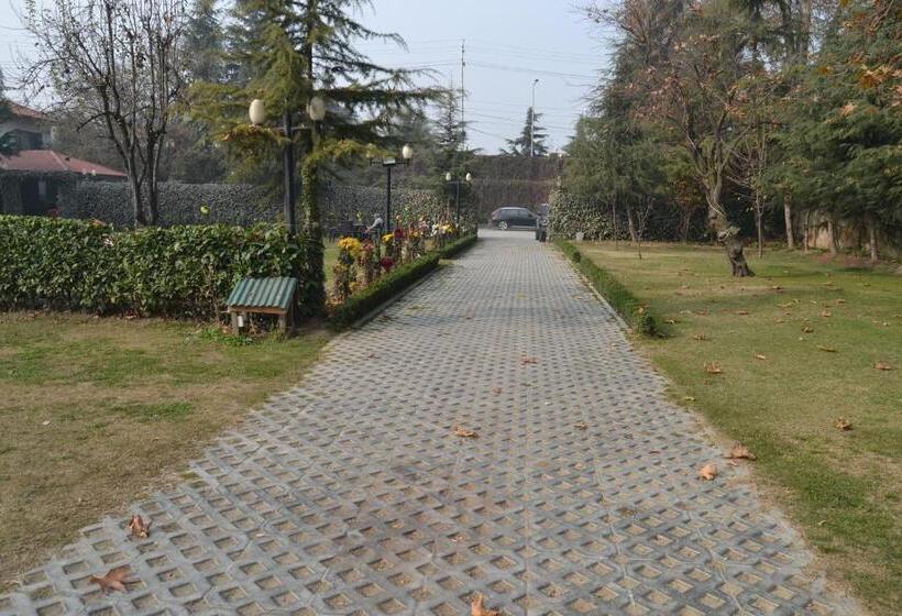 בית מלון כפרי Zippino 3s3