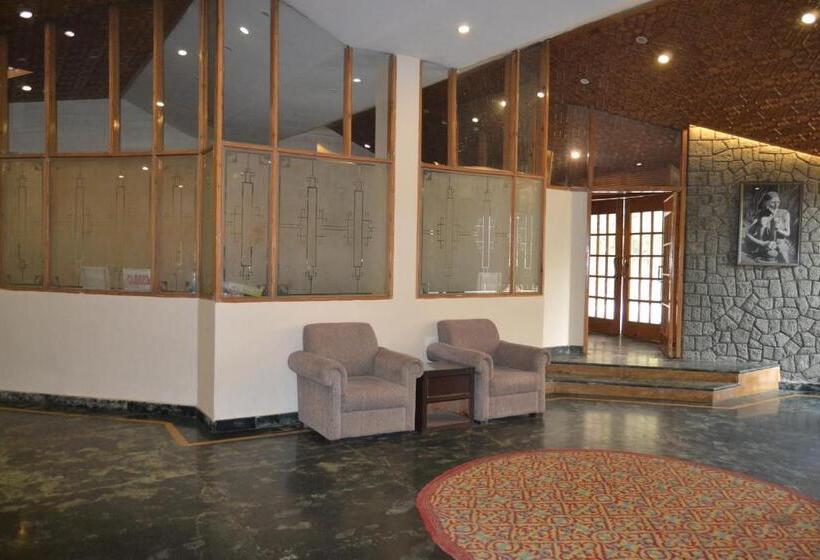 בית מלון כפרי Zippino 3s3