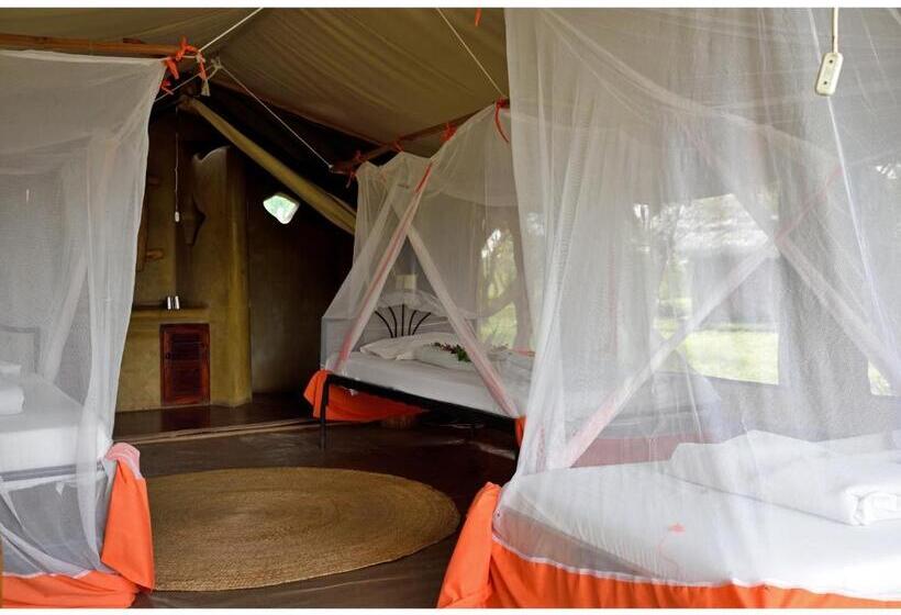 리조트 Ikoma Bush Camp