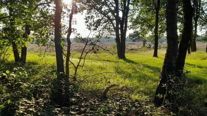 Bed And Breakfast De Kleine Vos