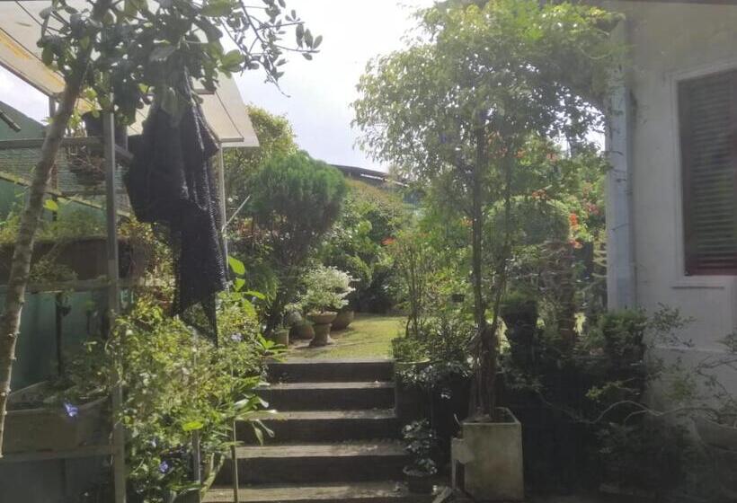 Blossoms Apartment 20 Min From Air Port