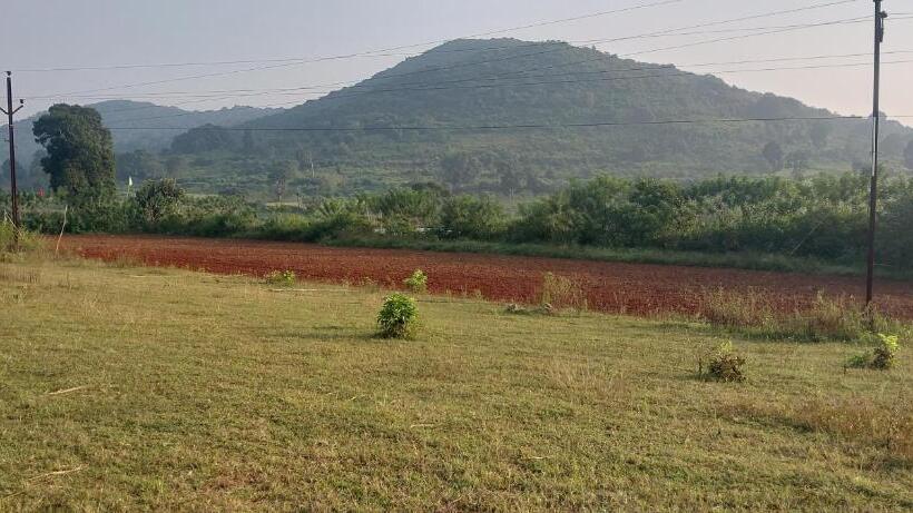 בית מלון כפרי Bommarillu Farm Stay