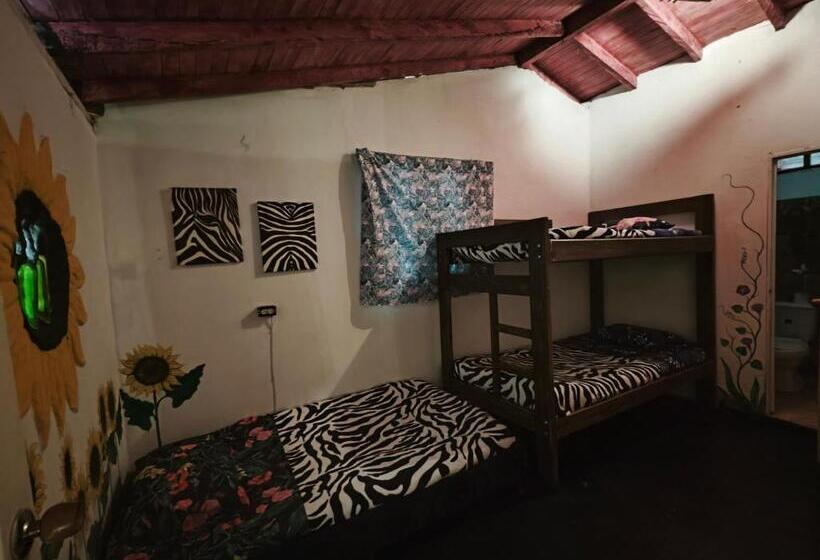 فندق Eco Hostal Tierra De Agua Y Fuego