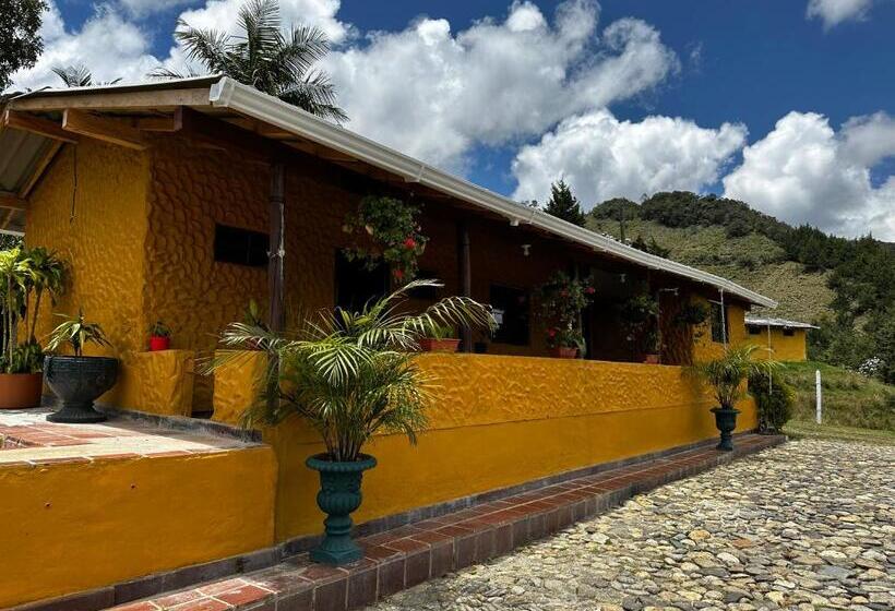 پانسیون Avatar Mountain Retreat