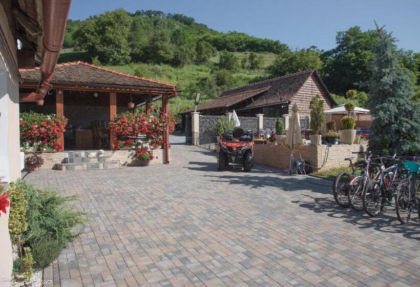 بنسيون Biertan 48 Guesthouse