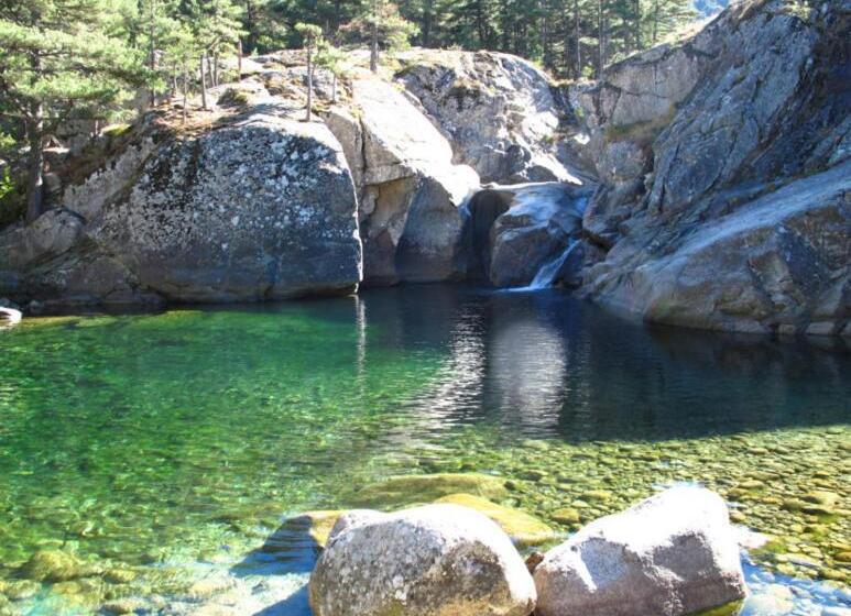 بنسيون A 2 Minutes Rivière 25 Minutes Ajaccio Plages Linge Et Parking Inclus