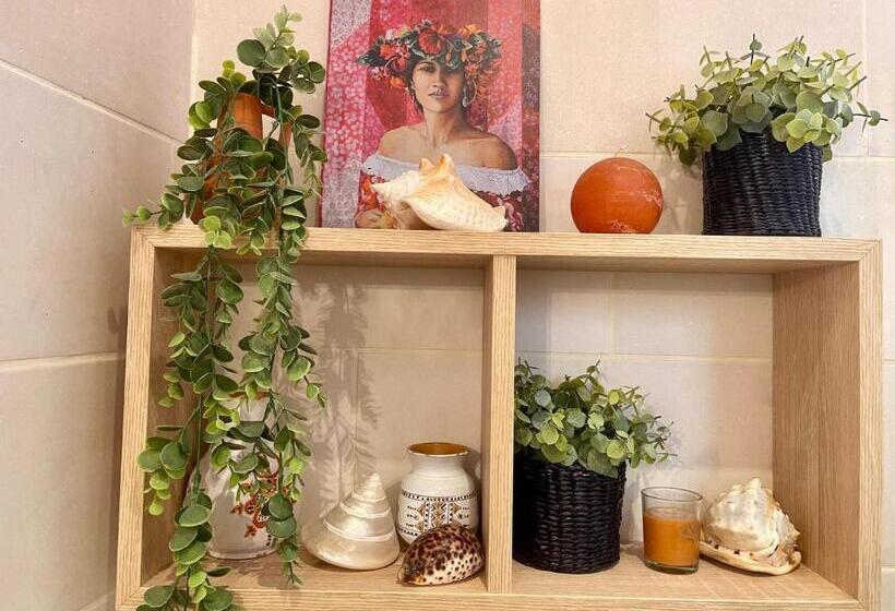 ベッドアンドブレックファースト Maison Consulaire Chambre D Hote De Charme