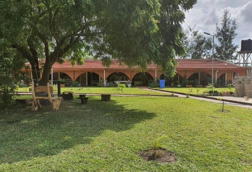 ペンション Casa Dos Arcos