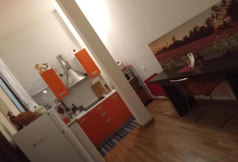 פנסיון Orchidea Camera Privata Nell Appartamento Condiviso