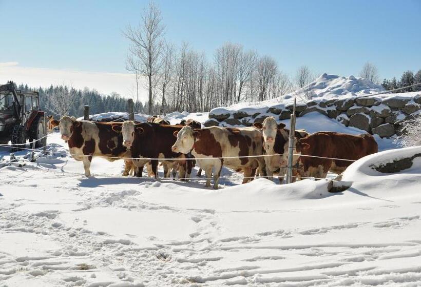 ホテル Mittereibenberger