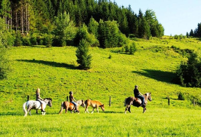 בית מלון כפרי Steinbachgut