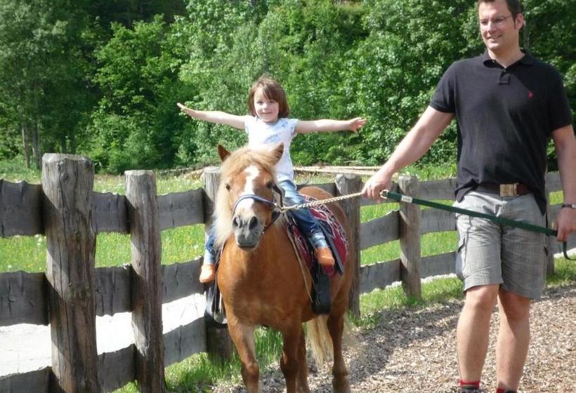 בית מלון כפרי Steinbachgut