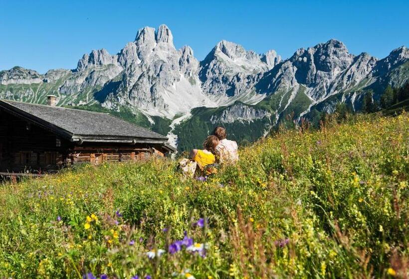 فندق Dachstein