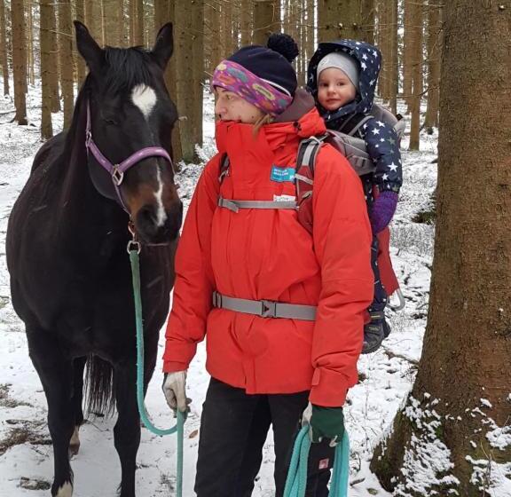 ホテル Espi Stables Ferienhof Esterhammer