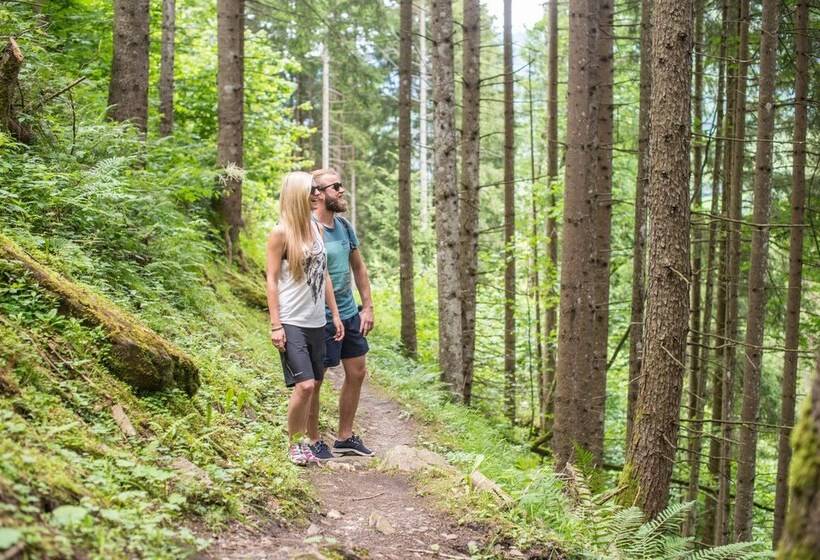 فندق Feriendorf Ponyhof