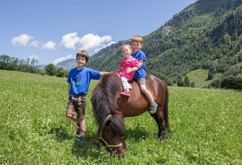 فندق Feriendorf Ponyhof