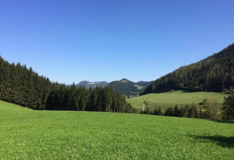 בית מלון כפרי Ferienstadl Hammerau