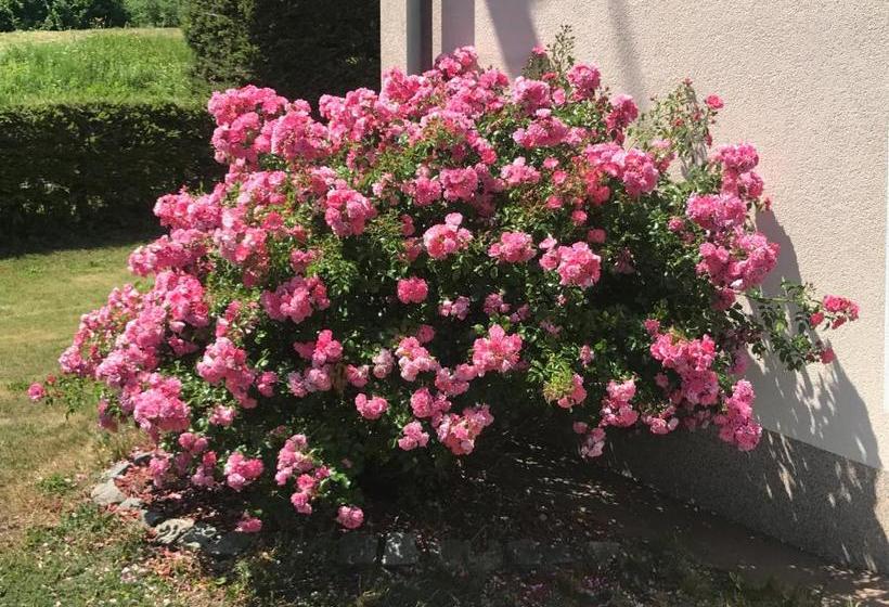 هتل Haus Goehringer