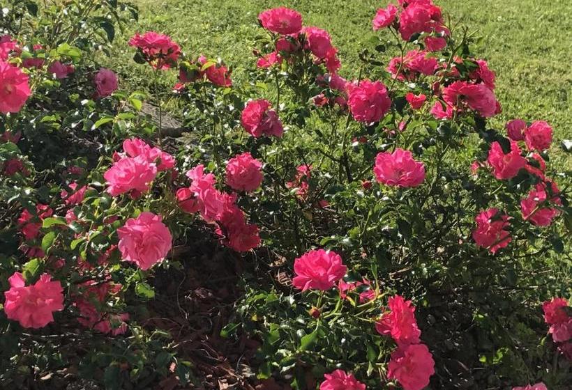 هتل Haus Goehringer