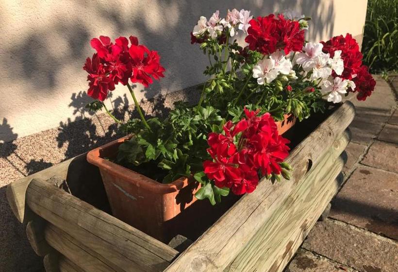 هتل Haus Goehringer