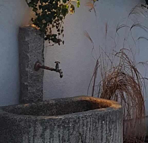 ホテル Pension Sunnseitn   Gasthof   Café   Weinkeller