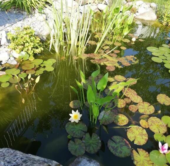 호텔 Privatzimmer Langthaler