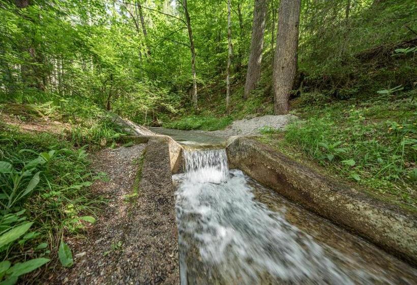 هتل Reiters Wohlfühl