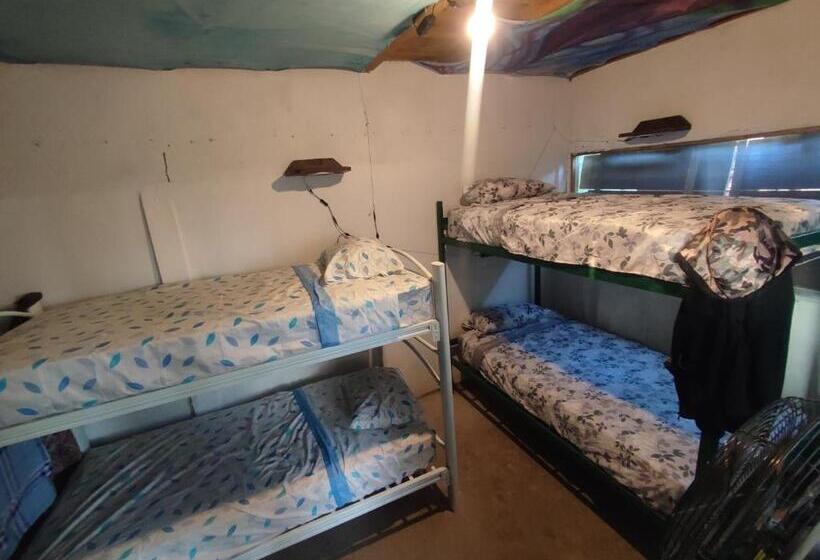 ユースホステル Hostal La Buena Vida