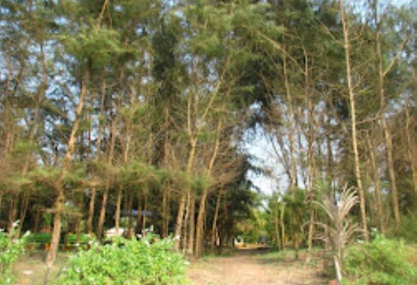 酒店 Aditya Beach Resort Malvan