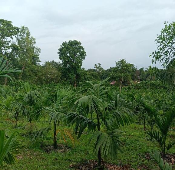 酒店 Finer Things Retreat