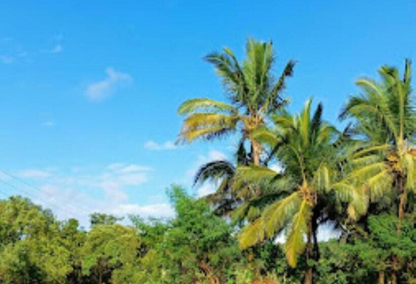 酒店 Rehoboth Resort, Malvan