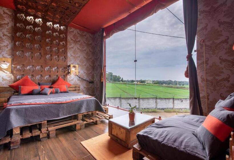 فندق Shalom Corbett’s Hillside Hideaway