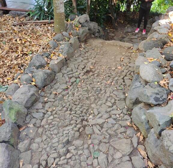 Panzió Clove Garden