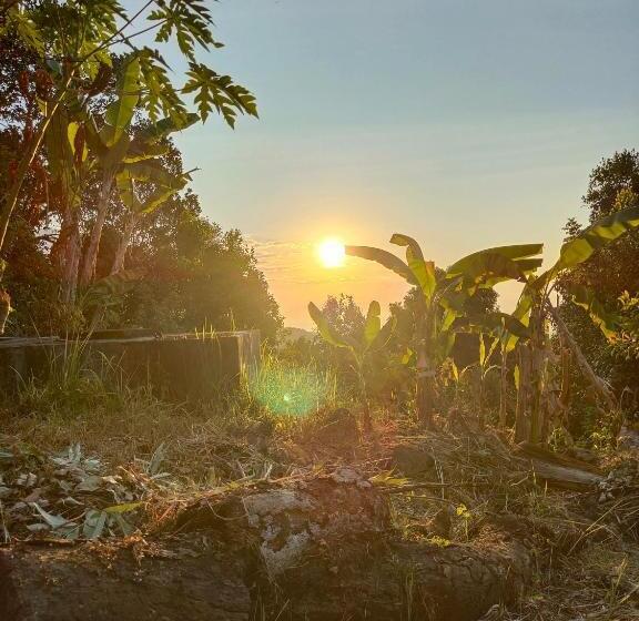 Panzió Clove Garden