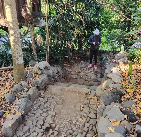 Panzió Clove Garden