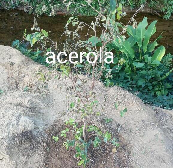 펜션 Pousada 5 Cachoeiras