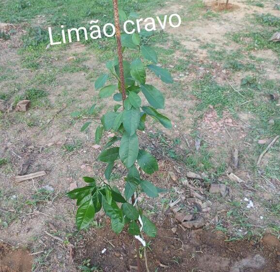 펜션 Pousada 5 Cachoeiras