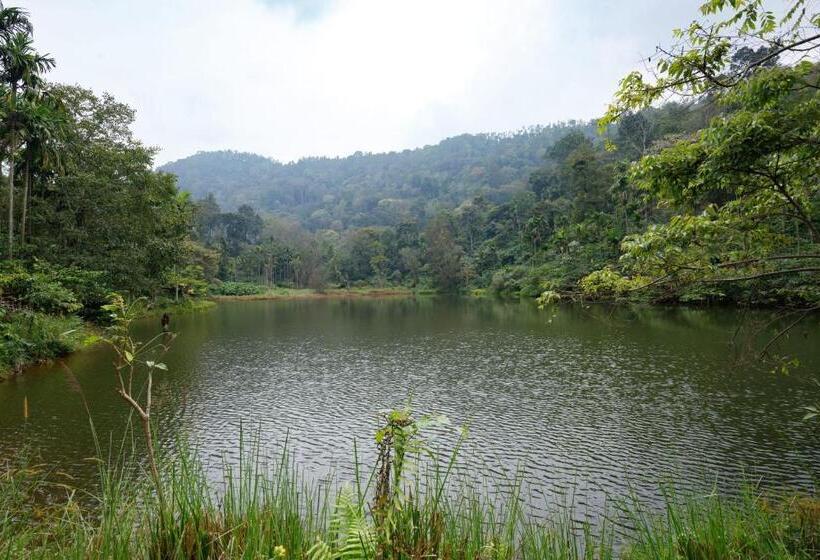 旅馆 Espresso Escape By Jadecaps 3bhk Chikamagalur