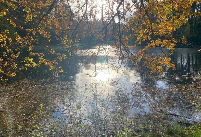 Bed And Breakfast Carma Arnhem