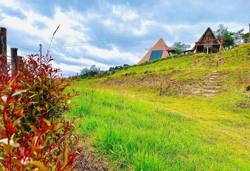 ベッドアンドブレックファースト Espectacular Hospedaje En La Laguna De Tota Boyacá