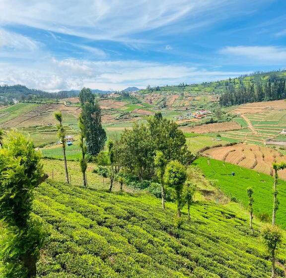 צימר Florence Ooty