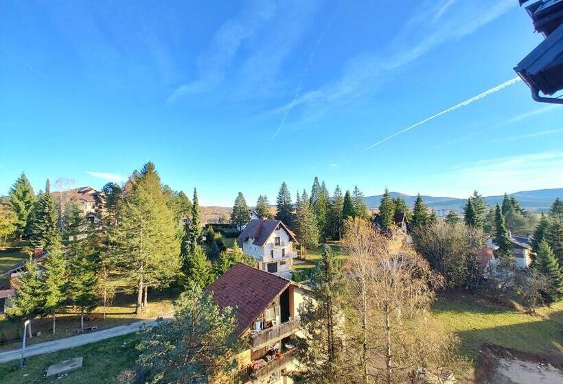 Velika Recepcija Cc Magnet