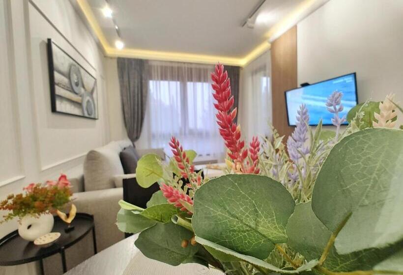 Velika Recepcija Cc Magnet