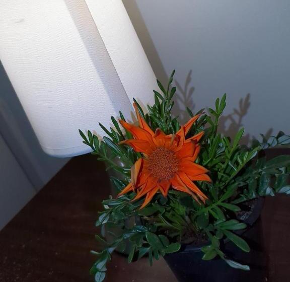 پانسیون Habitación Amplia En Santiago C3ntro