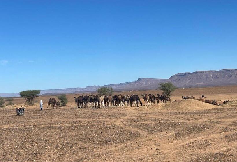 پانسیون Riad Le Petit Jardin
