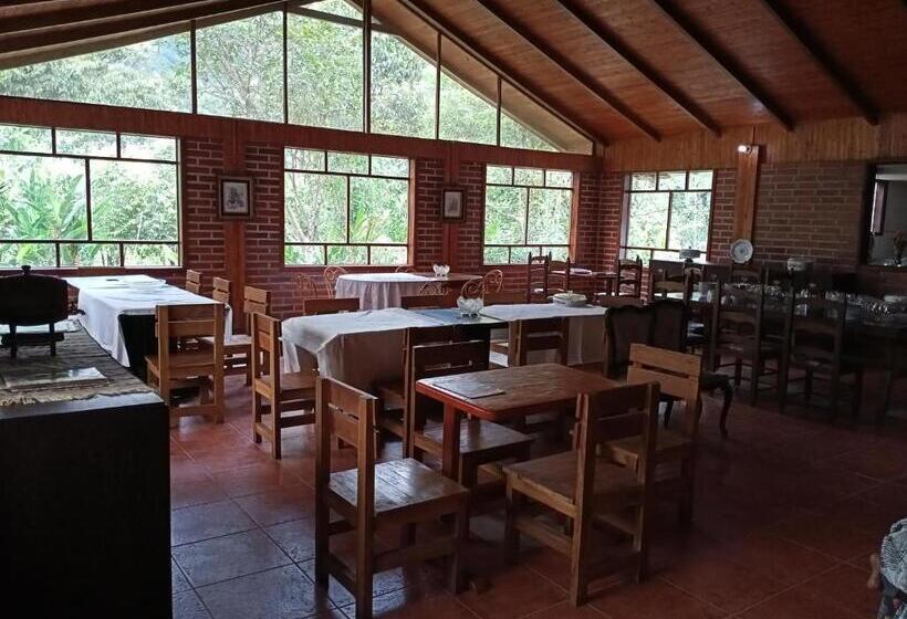 Bed and Breakfast Hacienda San Rene