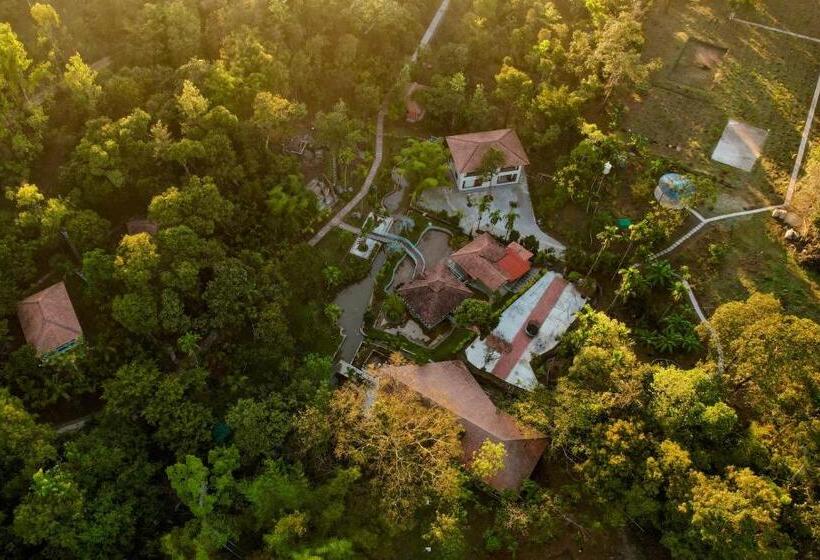Green Tree Resort