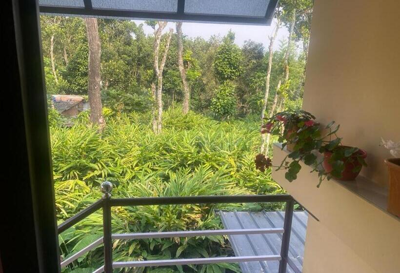 بنسيون Heavenly Stay