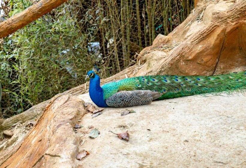 پانسیون Zen Medellin Maya